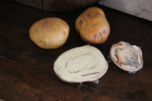 Lade das Bild in den Galerie-Viewer, Schulmodelle von Kartoffeln in einer Kiste