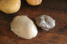 Lade das Bild in den Galerie-Viewer, Schulmodelle von Kartoffeln in einer Kiste