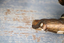 Lade das Bild in den Galerie-Viewer, Holz der goldenen Engel