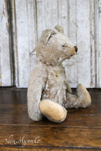 Lade das Bild in den Galerie-Viewer, Antiker Bär.
