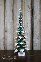 Lade das Bild in den Galerie-Viewer, Kiefernbäume