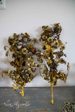 Load image into Gallery viewer, Antique branches of brass brass