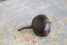 Load image into Gallery viewer, Old school models of vegetables of all kinds