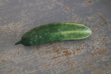 Load image into Gallery viewer, Old school models of vegetables of all kinds