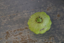 Load image into Gallery viewer, Old school models of vegetables of all kinds