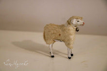 Lade das Bild in den Galerie-Viewer, Wollschafe