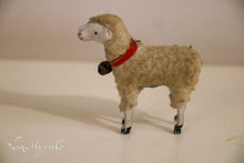 Lade das Bild in den Galerie-Viewer, Wollschafe