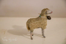Lade das Bild in den Galerie-Viewer, Wollschafe