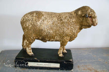 Afbeelding in Gallery-weergave laden, Antiek didaktisch model van een merino ram