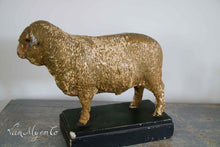Afbeelding in Gallery-weergave laden, Antiek didaktisch model van een merino ram