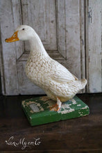 Load image into Gallery viewer, School model duck
