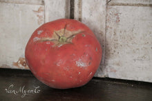 Load image into Gallery viewer, School models tomatoes
