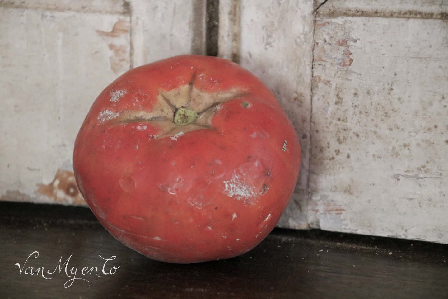School models tomatoes