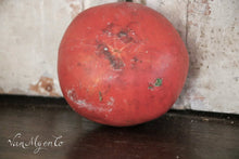 Load image into Gallery viewer, School models tomatoes
