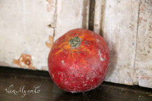 Load image into Gallery viewer, School models tomatoes
