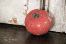 Load image into Gallery viewer, School models tomatoes
