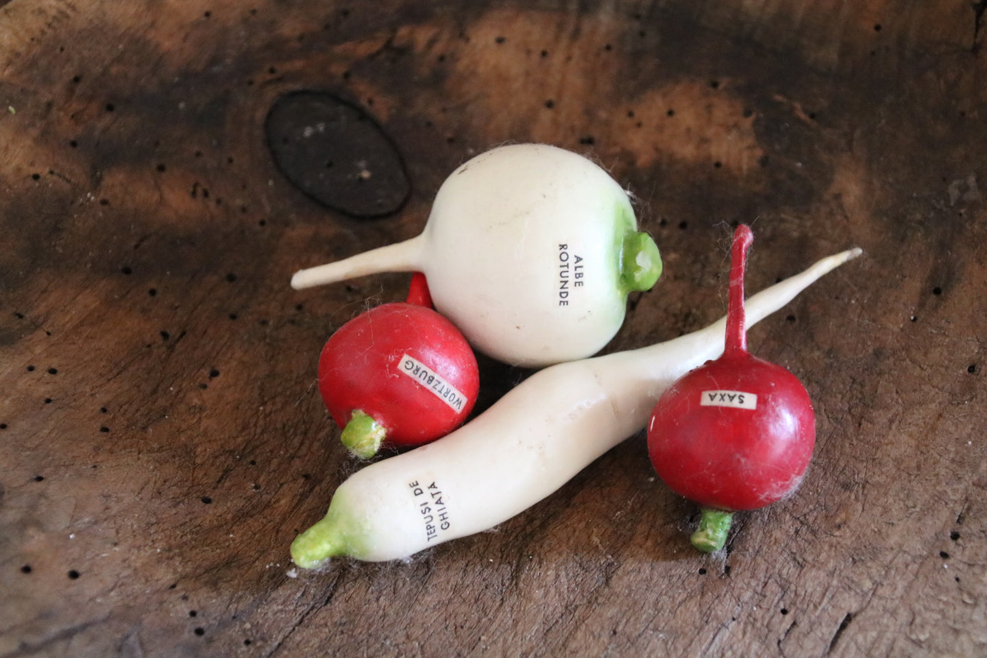 Radishes in a box