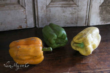 Afbeelding in Gallery-weergave laden, Paprika&#39;s schoolmodellen
