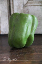 Afbeelding in Gallery-weergave laden, Paprika&#39;s schoolmodellen

