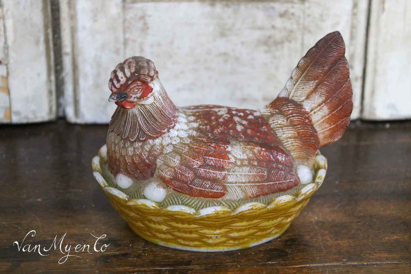 Chicken on nest of opaline
