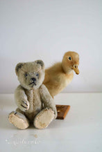 Afbeelding in Gallery-weergave laden, Oud beertje
