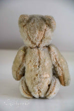 Afbeelding in Gallery-weergave laden, Oud beertje
