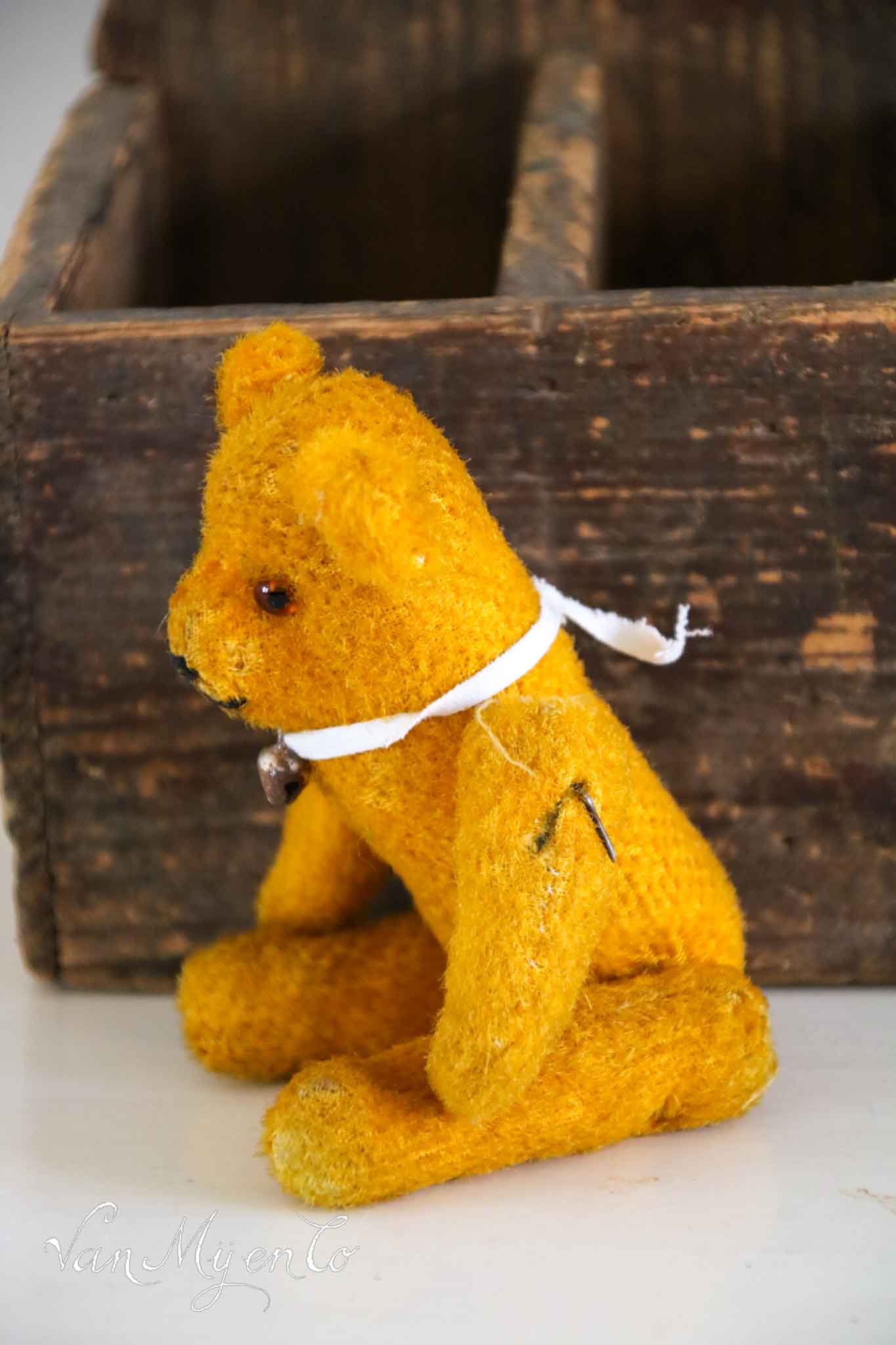 Sweet little bear