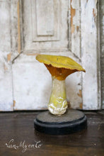 Afbeelding in Gallery-weergave laden, Botanische paddestoel
