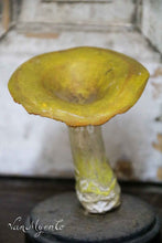 Afbeelding in Gallery-weergave laden, Botanische paddestoel
