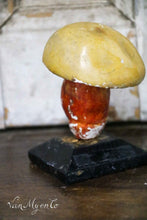 Afbeelding in Gallery-weergave laden, Botanische paddestoel
