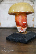 Afbeelding in Gallery-weergave laden, Botanische paddestoel
