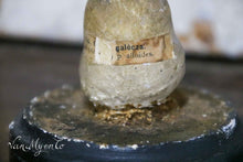Afbeelding in Gallery-weergave laden, Botanische paddestoel
