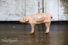 Lade das Bild in den Galerie-Viewer, Ferkel
