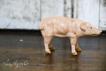 Lade das Bild in den Galerie-Viewer, Ferkel
