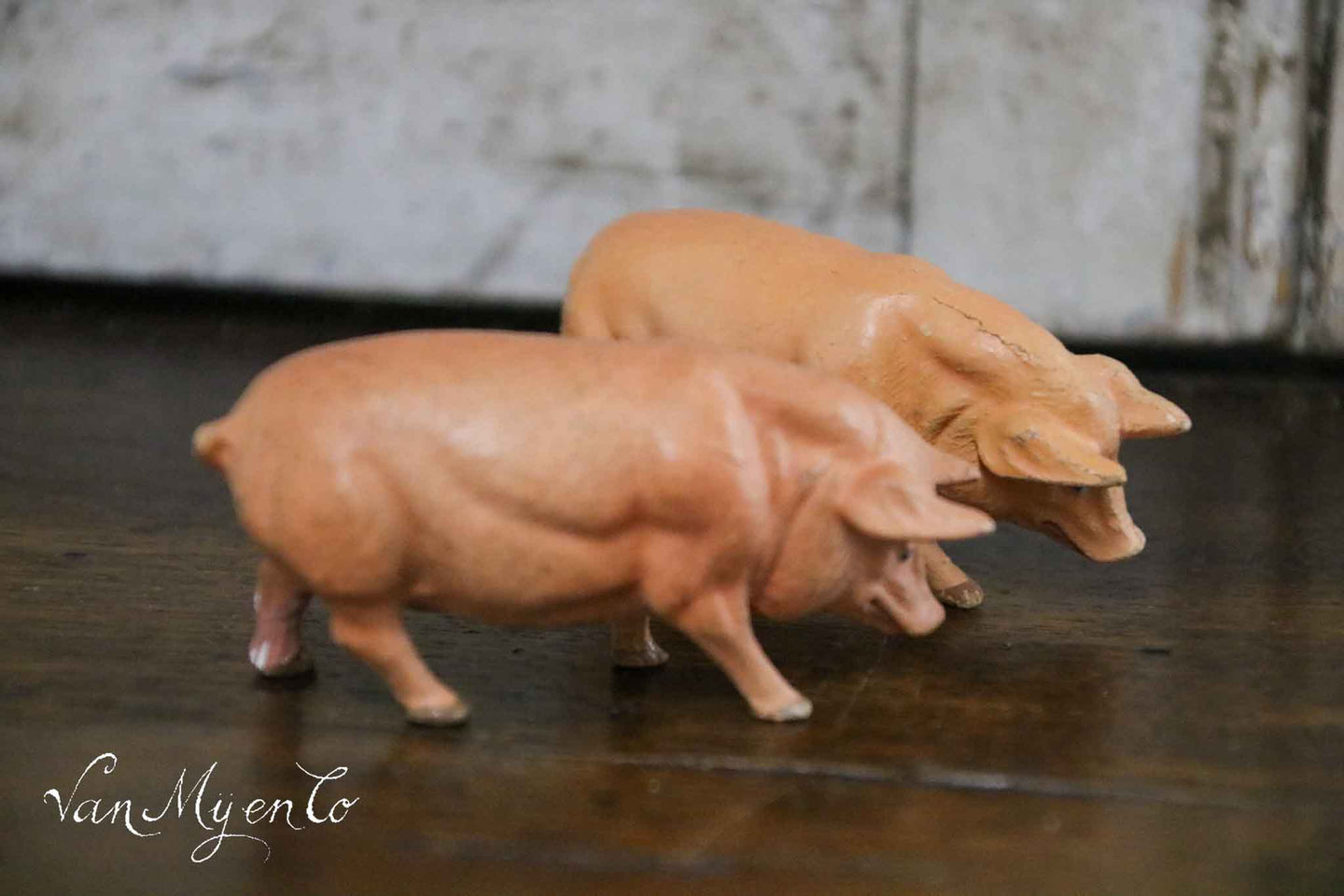 Ferkel