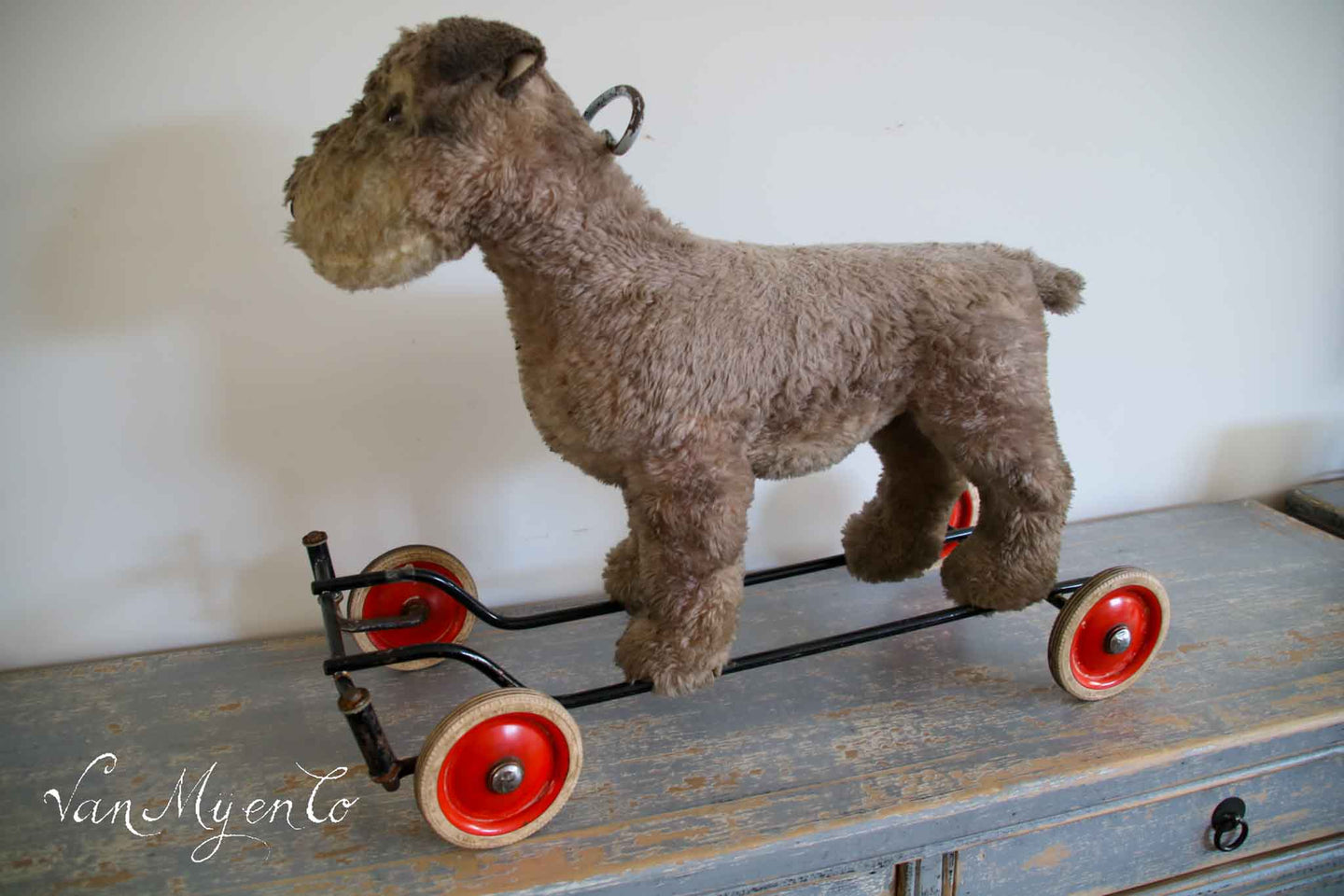Hund auf Rädern