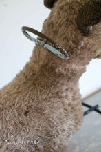 Lade das Bild in den Galerie-Viewer, Hund auf Rädern
