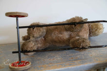 Lade das Bild in den Galerie-Viewer, Hund auf Rädern
