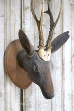 Lade das Bild in den Galerie-Viewer, Hirschkopf aus Holz
