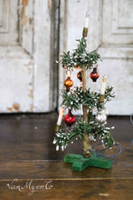 Lade das Bild in den Galerie-Viewer, Alte Weihnachtsbäume
