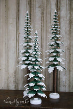 Lade das Bild in den Galerie-Viewer, Kiefernbäume
