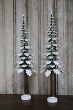 Lade das Bild in den Galerie-Viewer, Kiefernbäume
