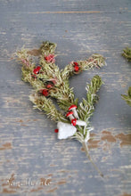 Load image into Gallery viewer, Old Christmas branches
