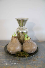 Load image into Gallery viewer, Large silver glass vase (10)
