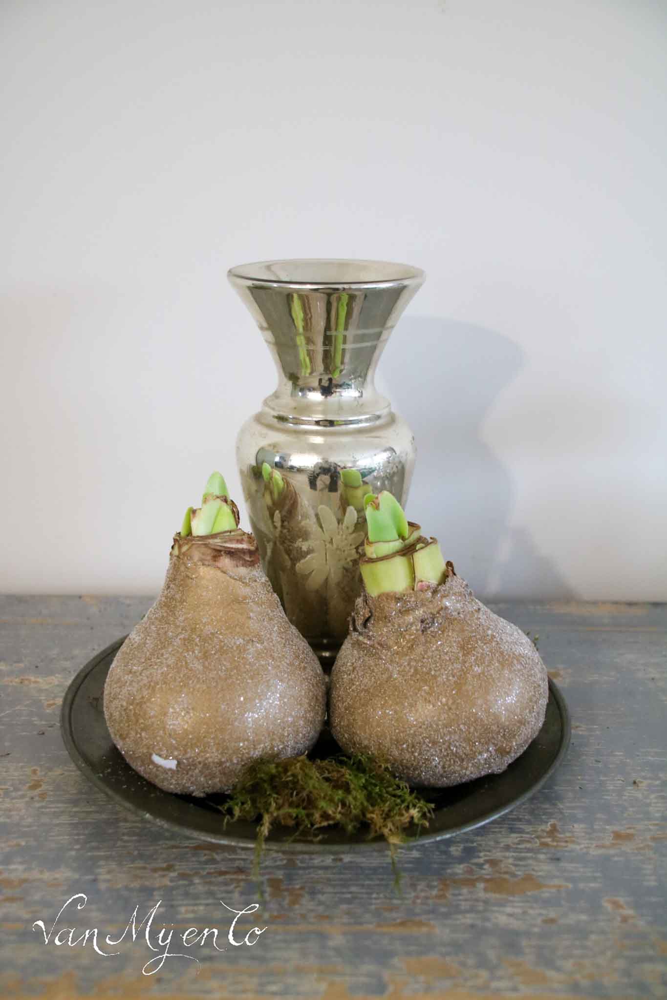 Large silver glass vase (10)