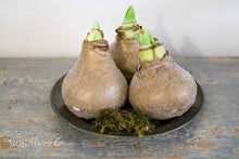 Load image into Gallery viewer, Pewter bowl
