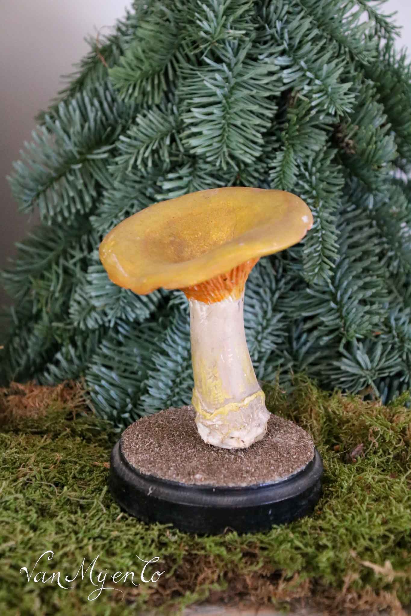Botanical mushroom