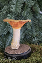Load image into Gallery viewer, Botanical mushroom
