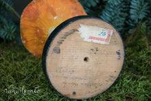 Load image into Gallery viewer, Botanical mushroom
