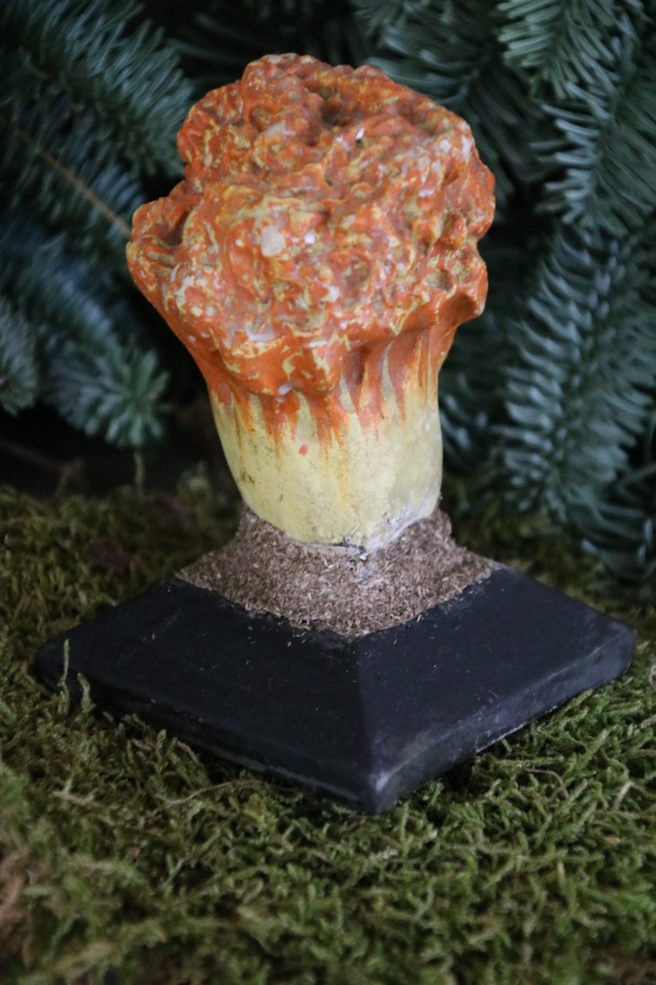 Botanische paddestoel (5)